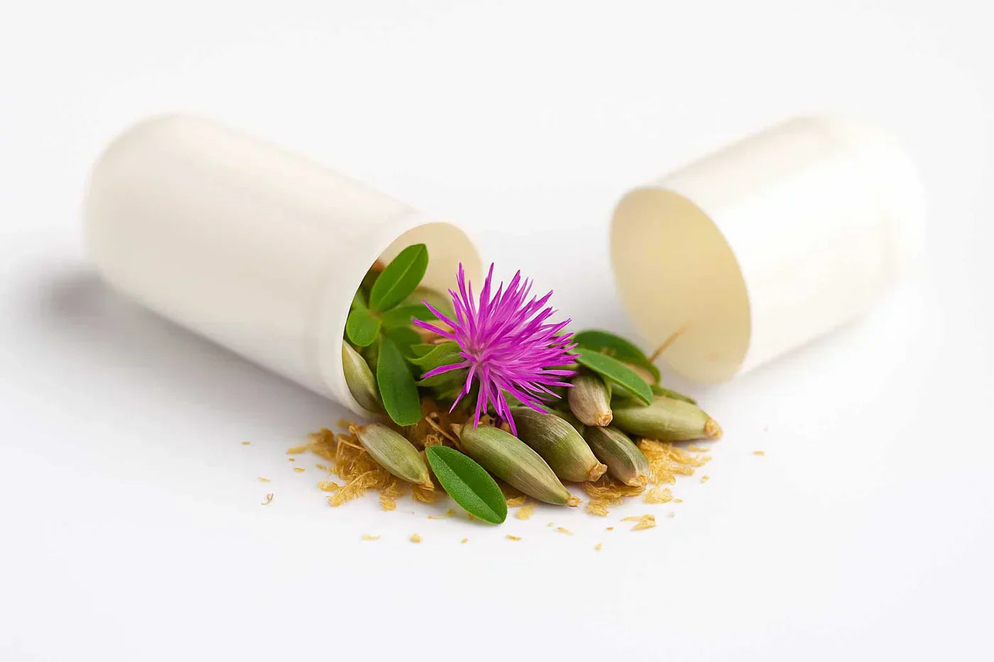 Cardo Mariano e Fegato: Benefici e Detox Naturale