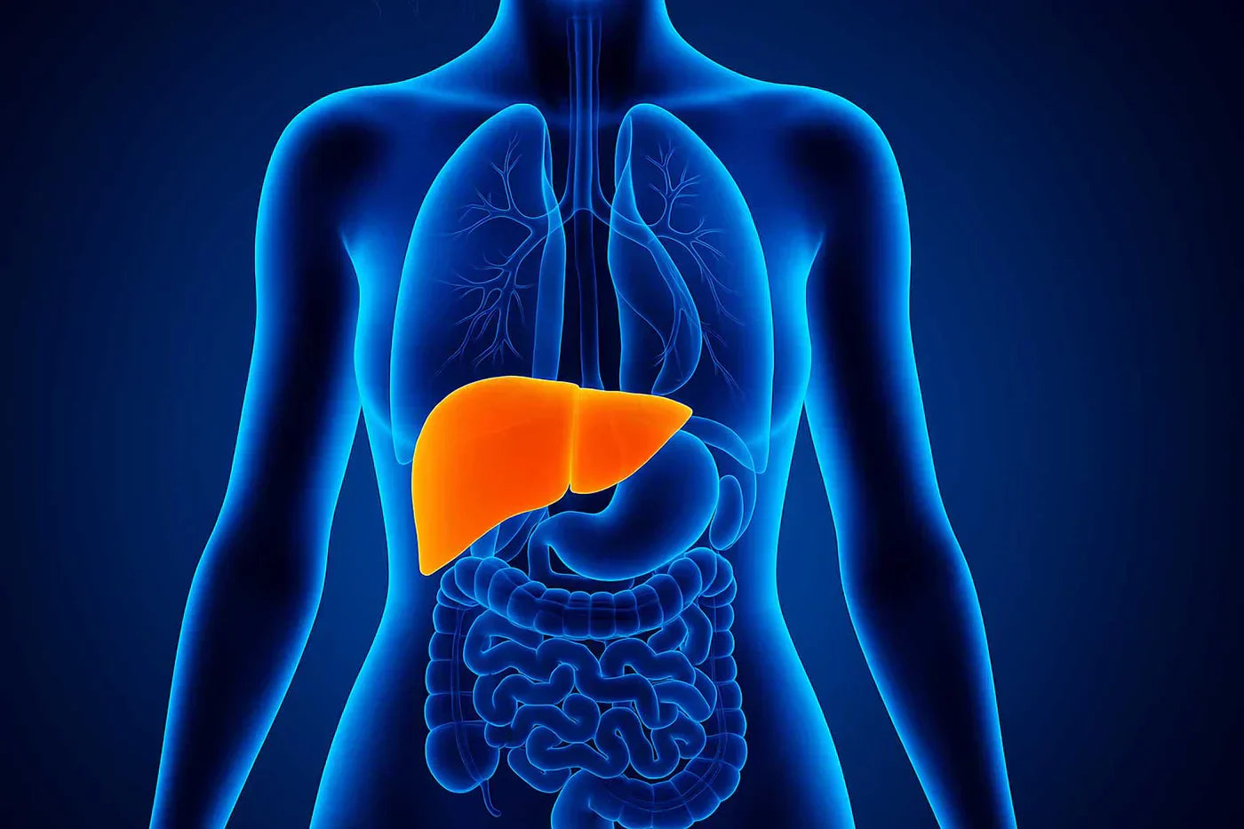 Disintossicare il Corpo in 60 Giorni: Guida Detox Naturale